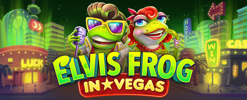 Elvis Frog in Vegas